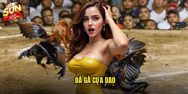 đá gà cựa dao